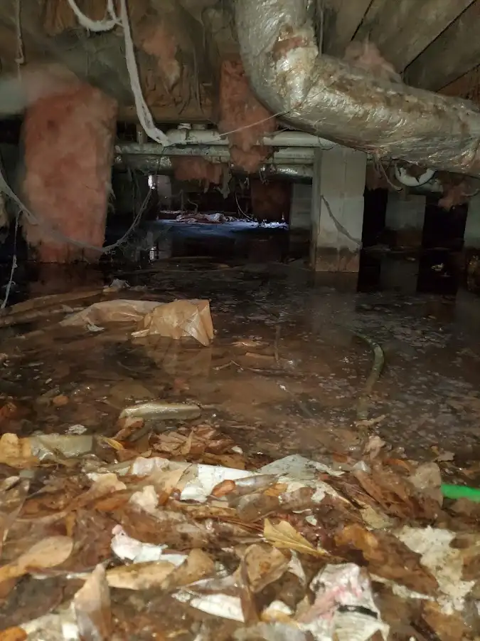 Crawl space flood assessment for Leak Detection & Repair in Killeen
